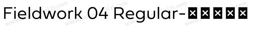 Fieldwork 04 Regular字体转换